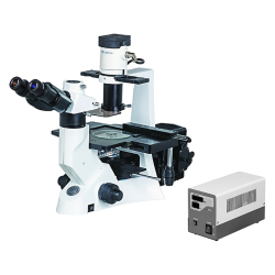 Inverted Fluorescence Microscope : Inverted Fluorescence Microscope LIFM-A11